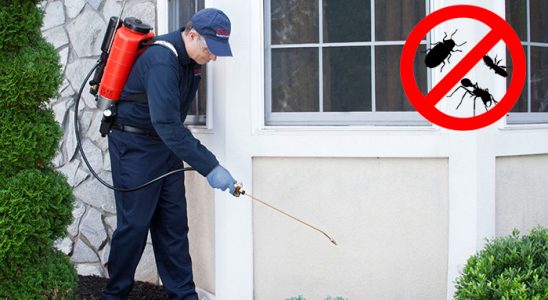 Çankırı Dezenfeksiyon böcek ilaçlama ve haşere kontrolü — ilaclama-tr.com